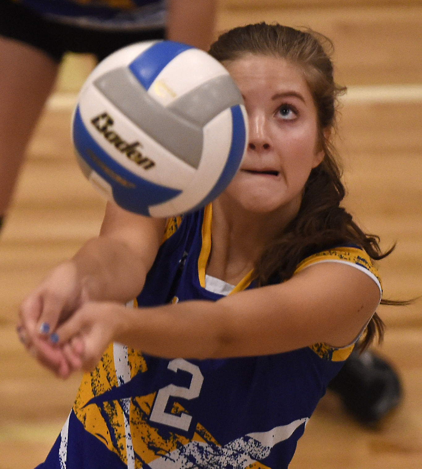 Volleyball - Carey Vs. Lighthouse Christian